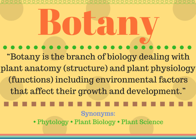 what-is-botany-botany-definition-and-its-understanding