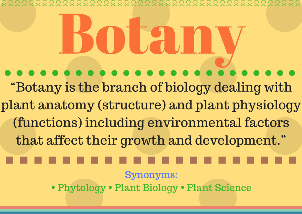 What Is Botany Botany Definition And Its Understanding 